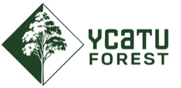 Ycatu Forest