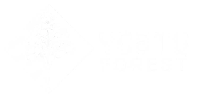 Ycatu Forest